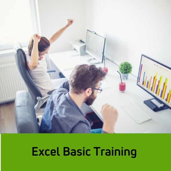 excel basic training